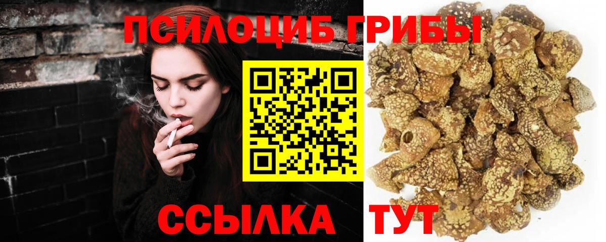 наркошоп  Вход с VPN  Елабуга  Псилоцибиновые грибы Psilocybine cubensis  Галлюциногенные грибы мухоморы 