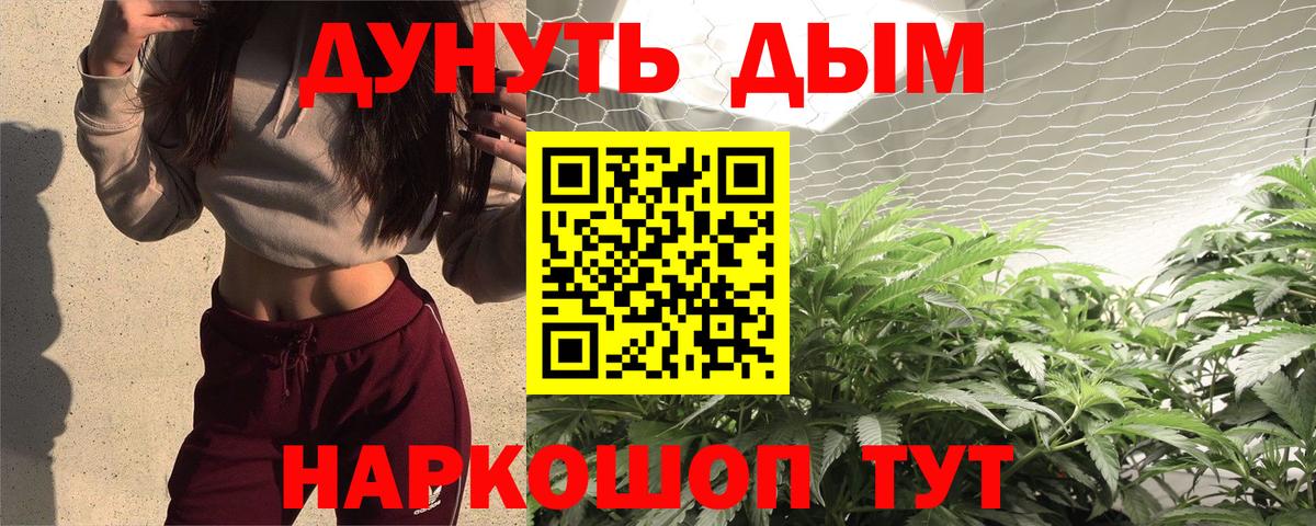 Марихуана планчик  МАРИХУАНА план  Елабуга  Вход с VPN  Канабис White Widow 
